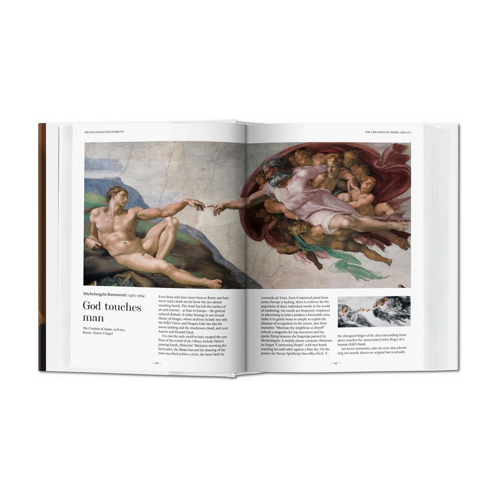 257084 - Imagen 3