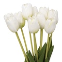 252904 - Imagen 2