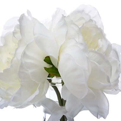 271926 - Imagen 2