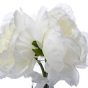271926 - Imagen 2