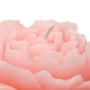 272092 - Imagen 3
