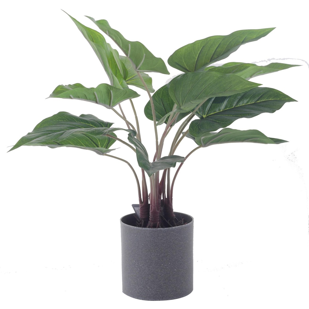 [155773] PLANTA DECOR C/POTE 592-143045