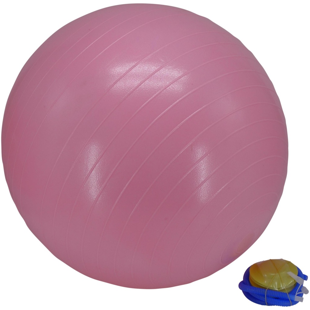 JG BOLA D/ EJERCICIO C/ INF 65CM 305-0700024