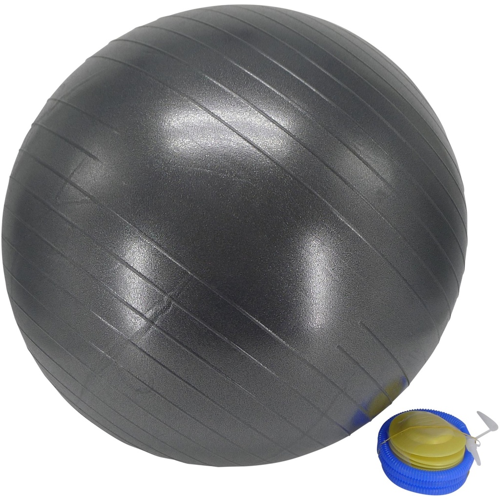 JG BOLA D/ EJERCICIO C/ INF 65CM 305-0700025