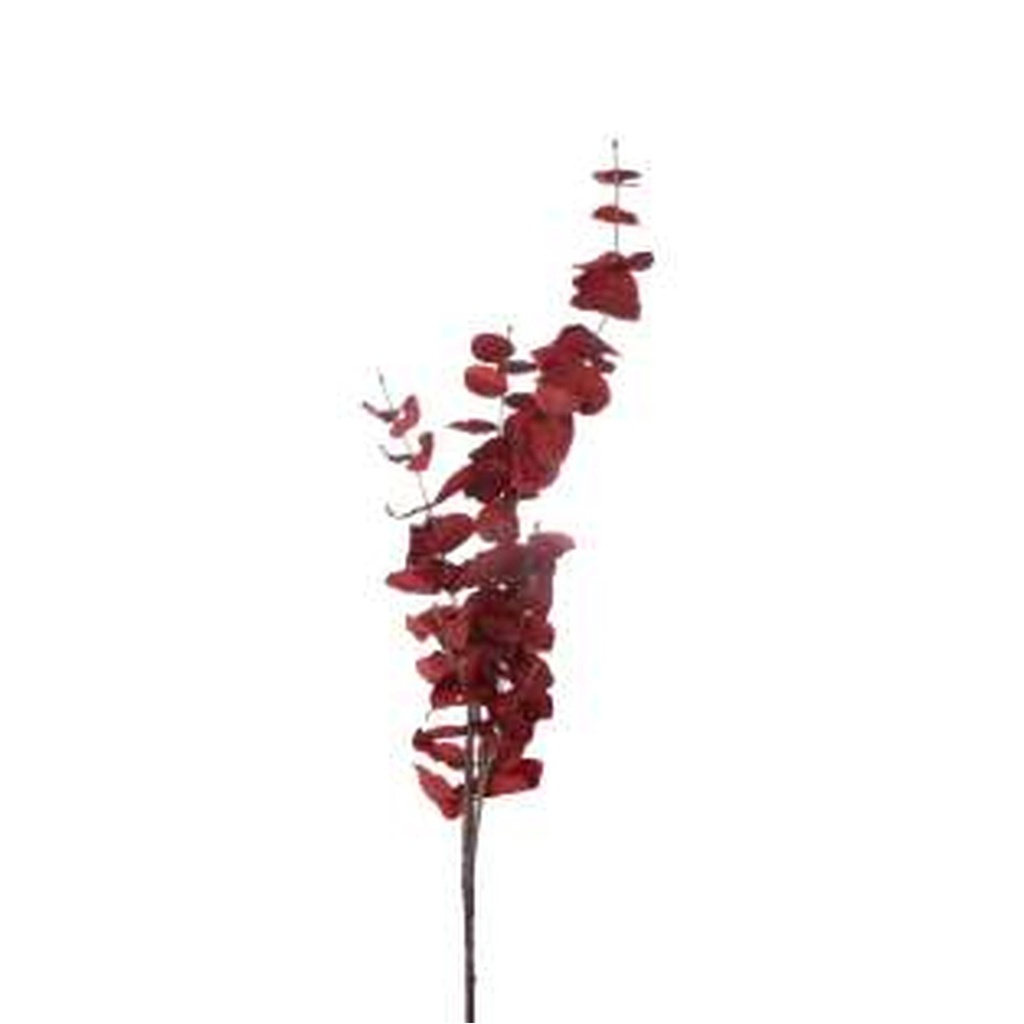 [154900] PLANTA ART. 456-512388