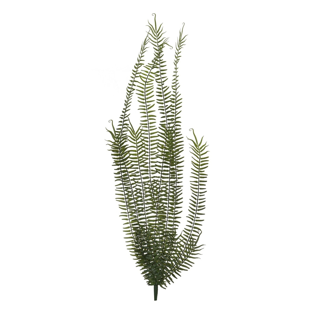[155819] PLANTA ART. 592-450037