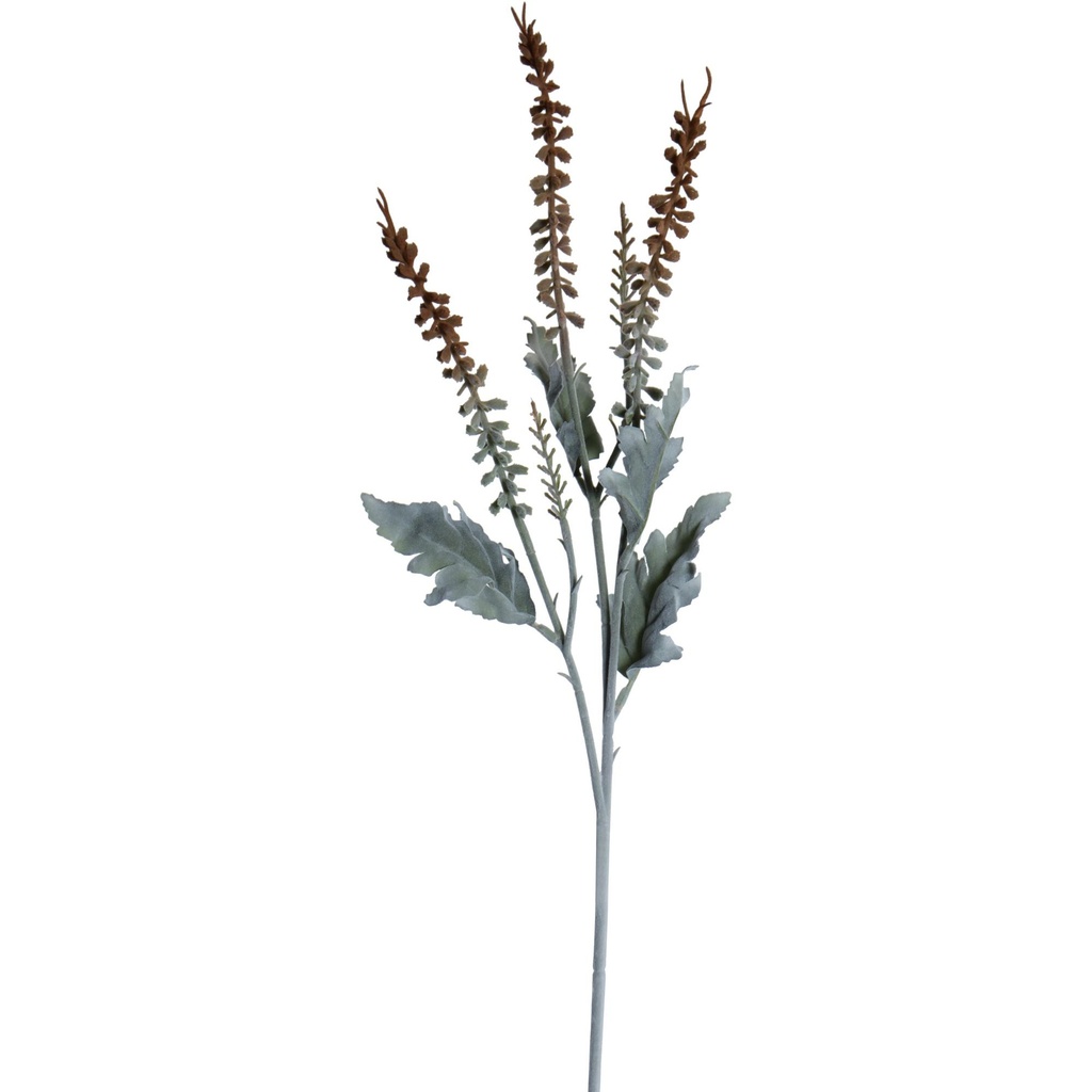 [154929] PLANTA ART. 456-512840