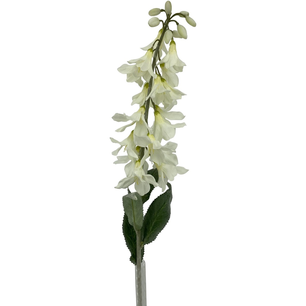 [154931] PLANTA ART. 456-512903