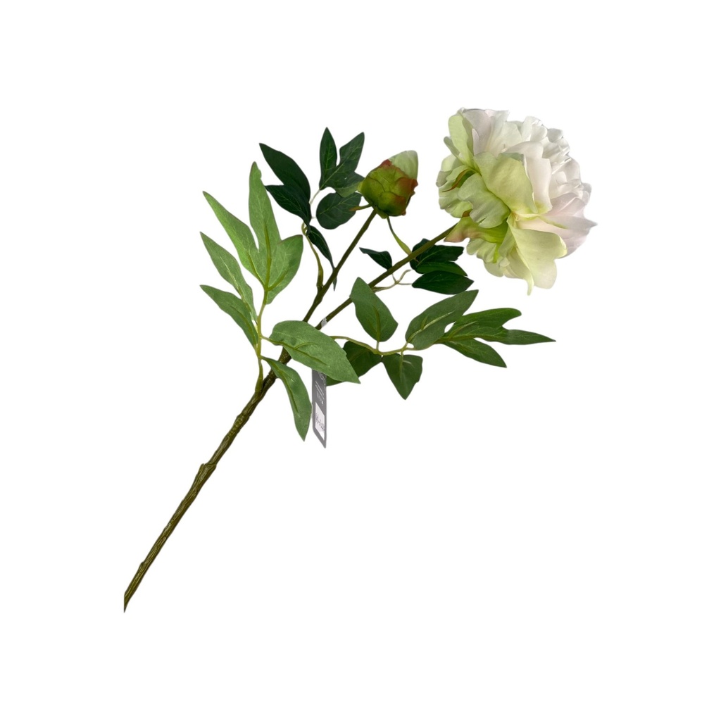 [188448] PEONIA 70CM 456-512484