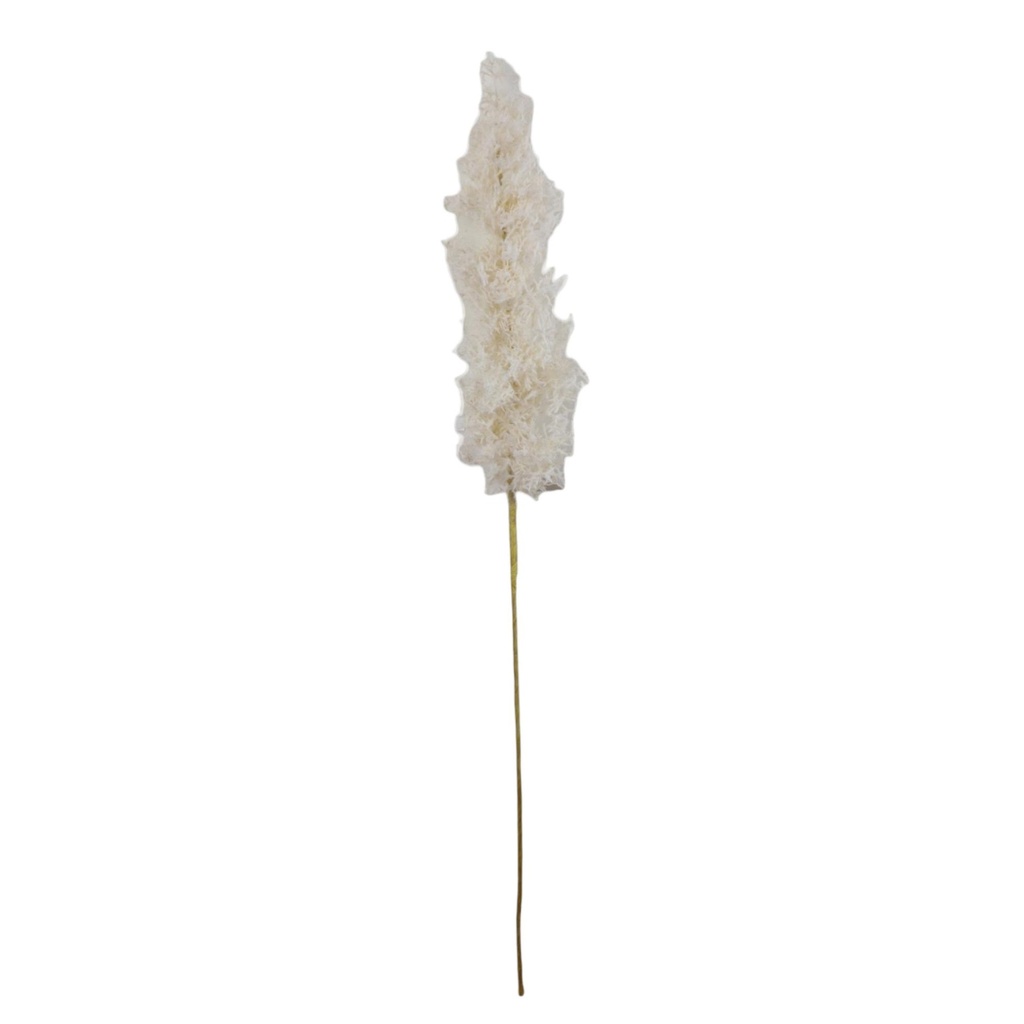[181435] PLANTA ART. 420-593641