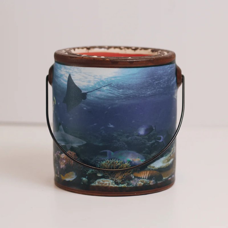 [205581] VELA FARM CORAL REEF