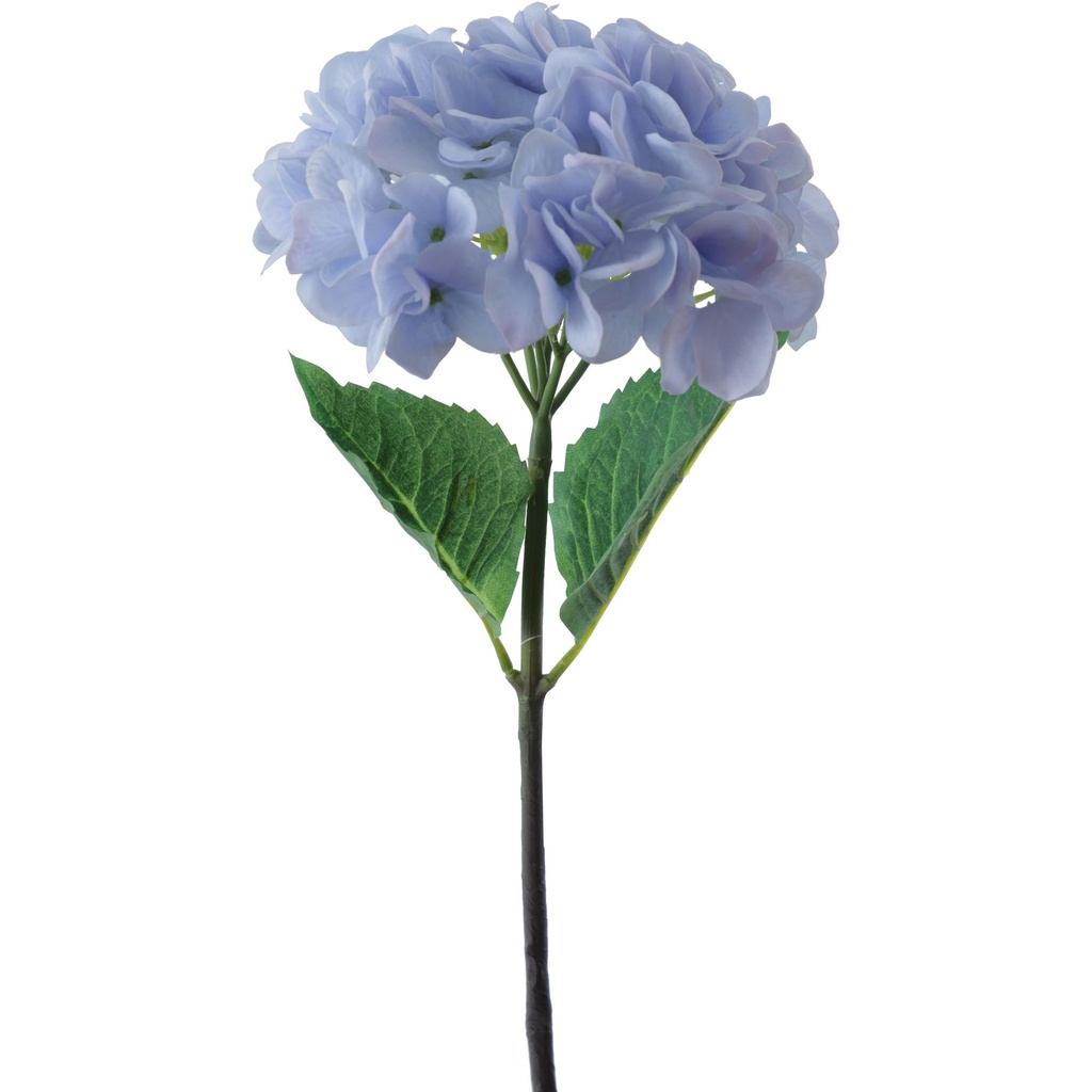 [181362] HORTENSIA 420-592975