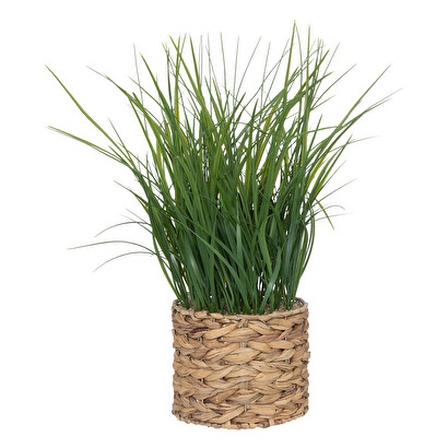 PLANTA CON MACETA NATURAL H70 196736
