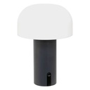 LAMPARA USB OLIVA JANY H22 205945B