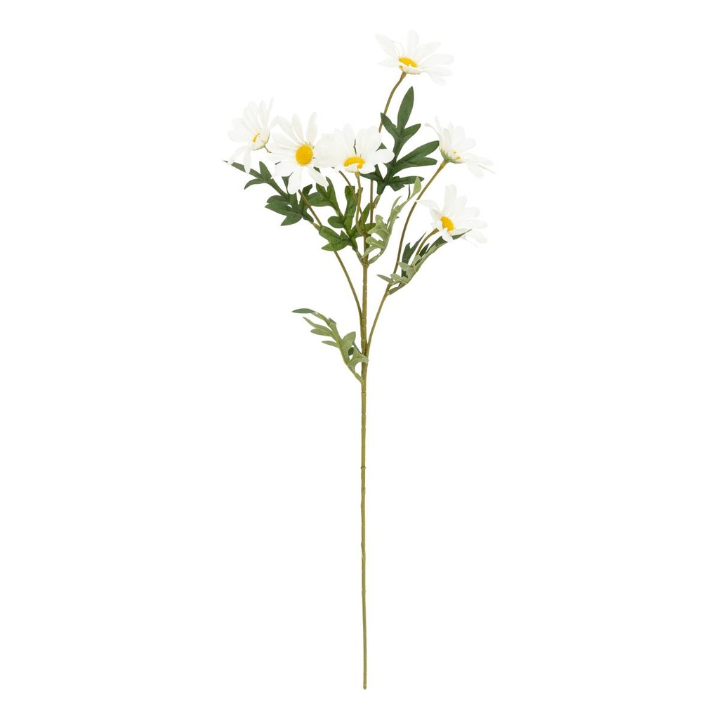 [253514] TALLO MARGARITA BLANCA H60 198213