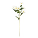 TALLO MARGARITA BLANCA H60 198213