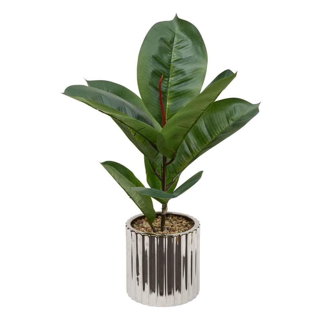 [253908] FICUS PLATEADO EN MACETA CERÁMICA SKY H54 210134