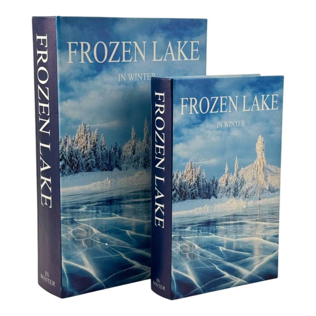 [261193] CAJA GR P/ LIBROS FROZEN LAKE 449-6510063
