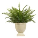 MACETA FERN CRMQCFLDR H80 214016