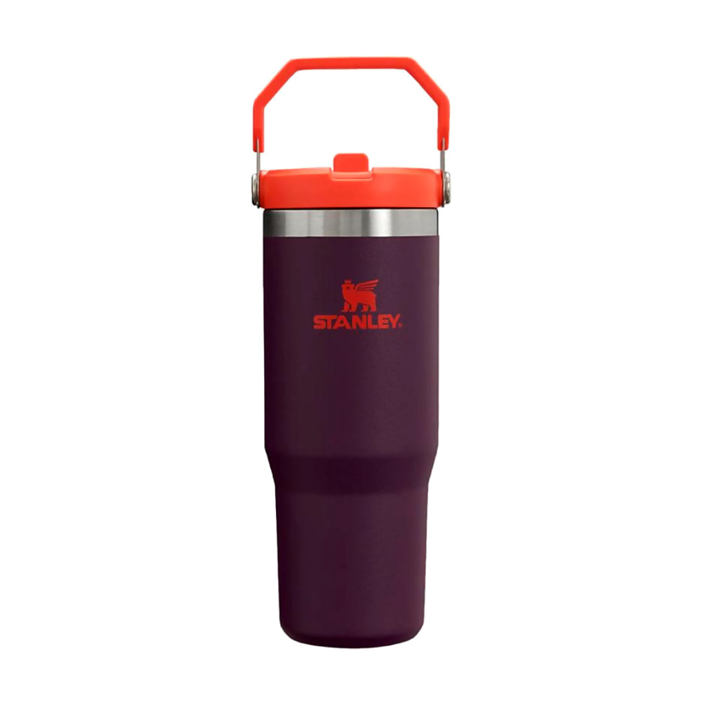 TUMBLER FLIP 887ML- PLUM STRIPE