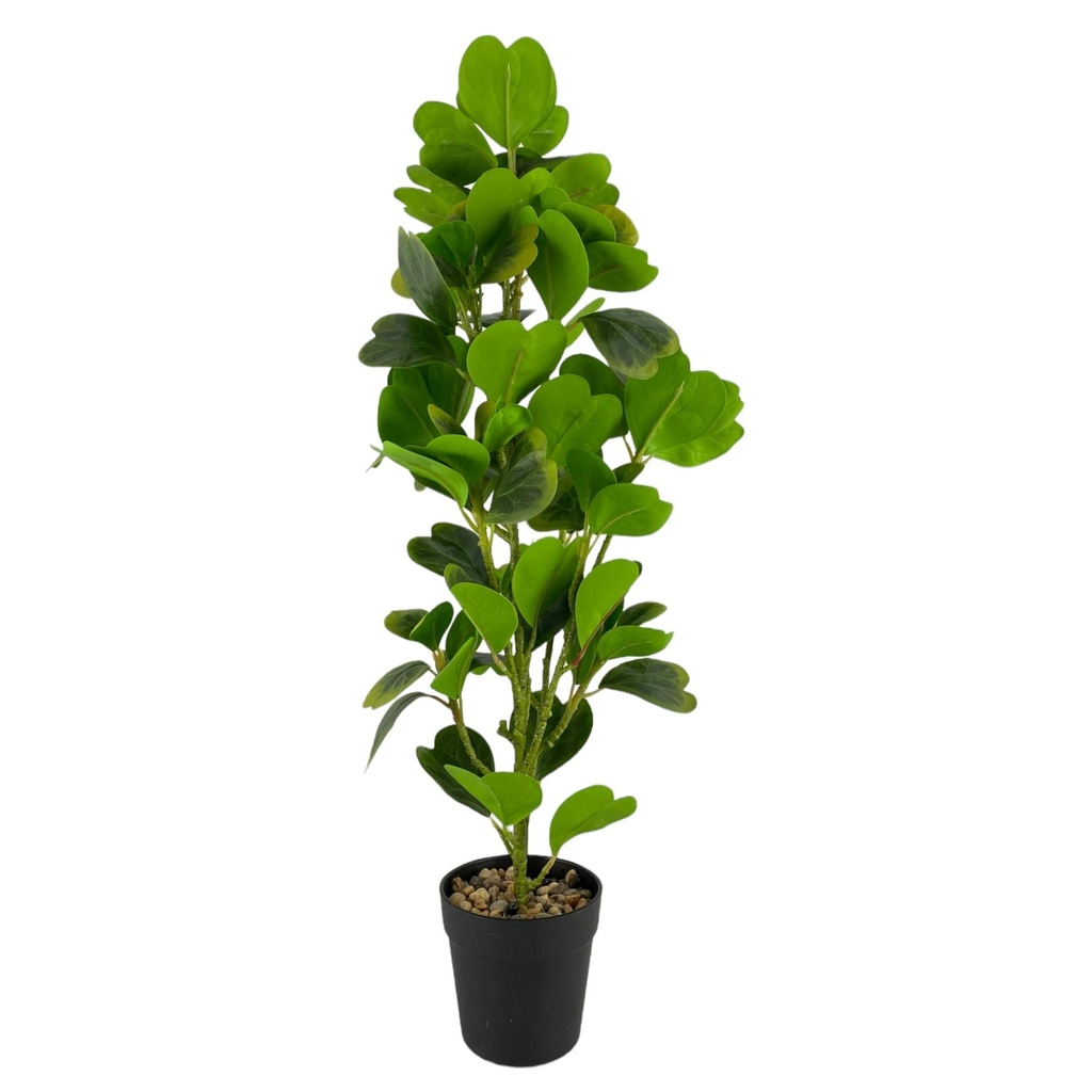 [207686] PLANTA C/POTE 592-370618