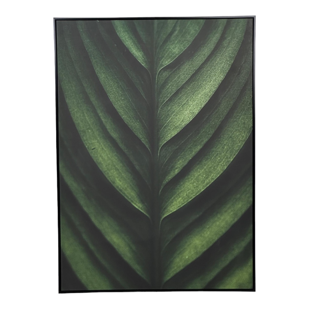 CUADRO C/MARCO 4.30X102.60X142.60CM 532-28558