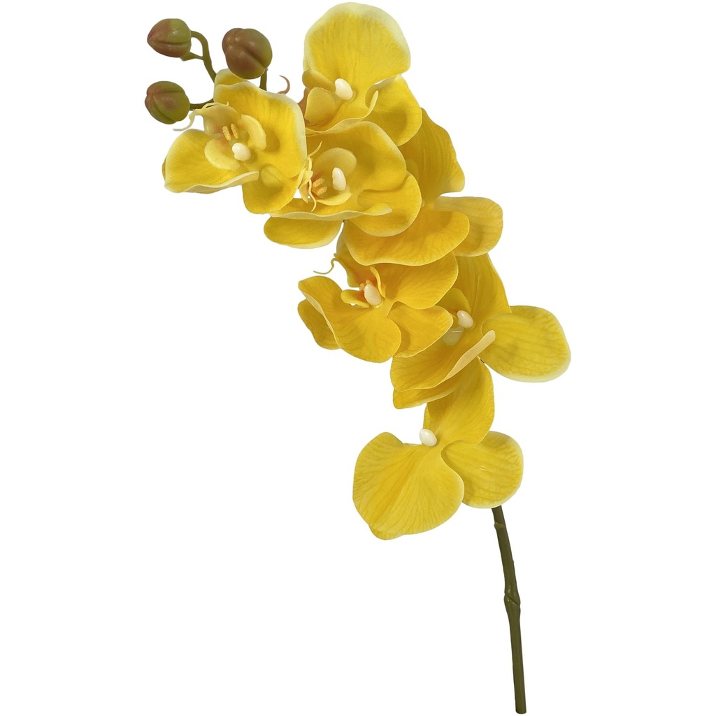 [207693] FLOR ARTI. 592-480037