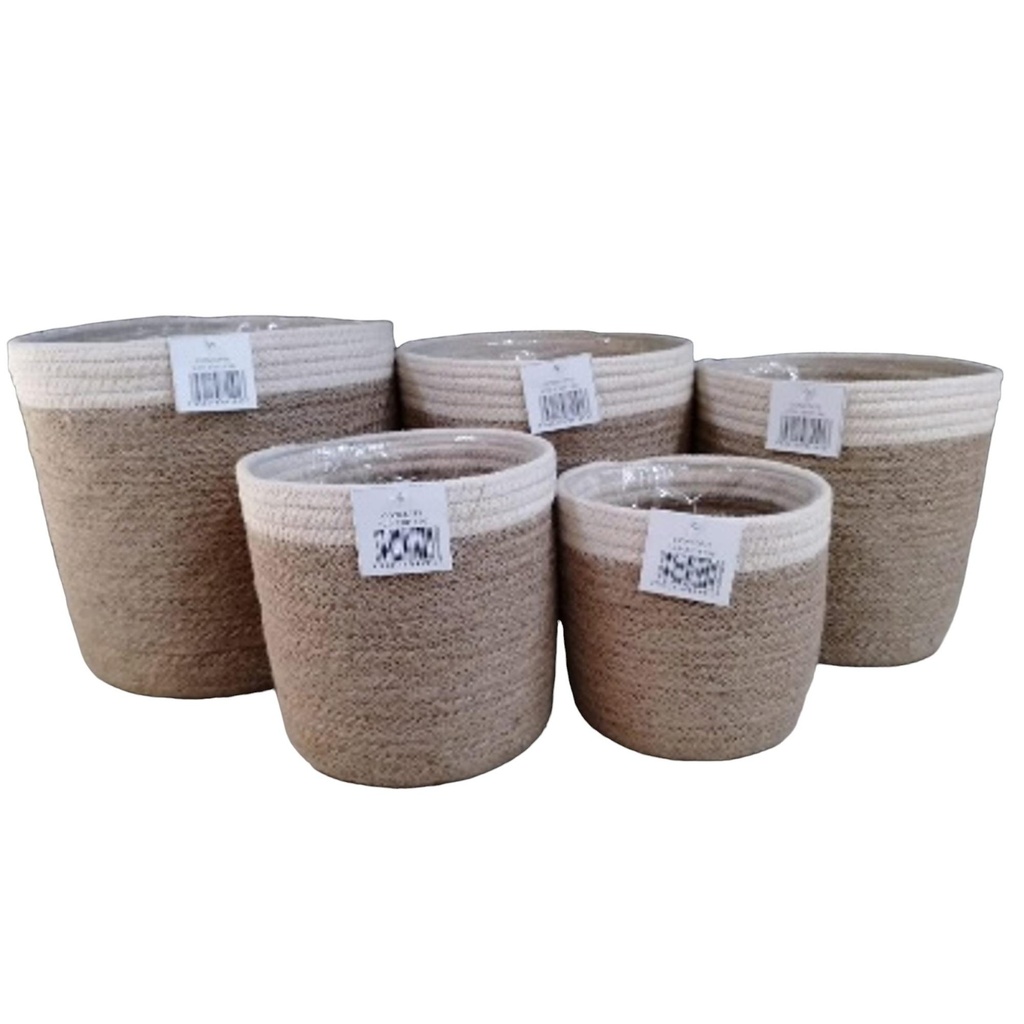 [243735] CESTA GRANDE 429-3301136