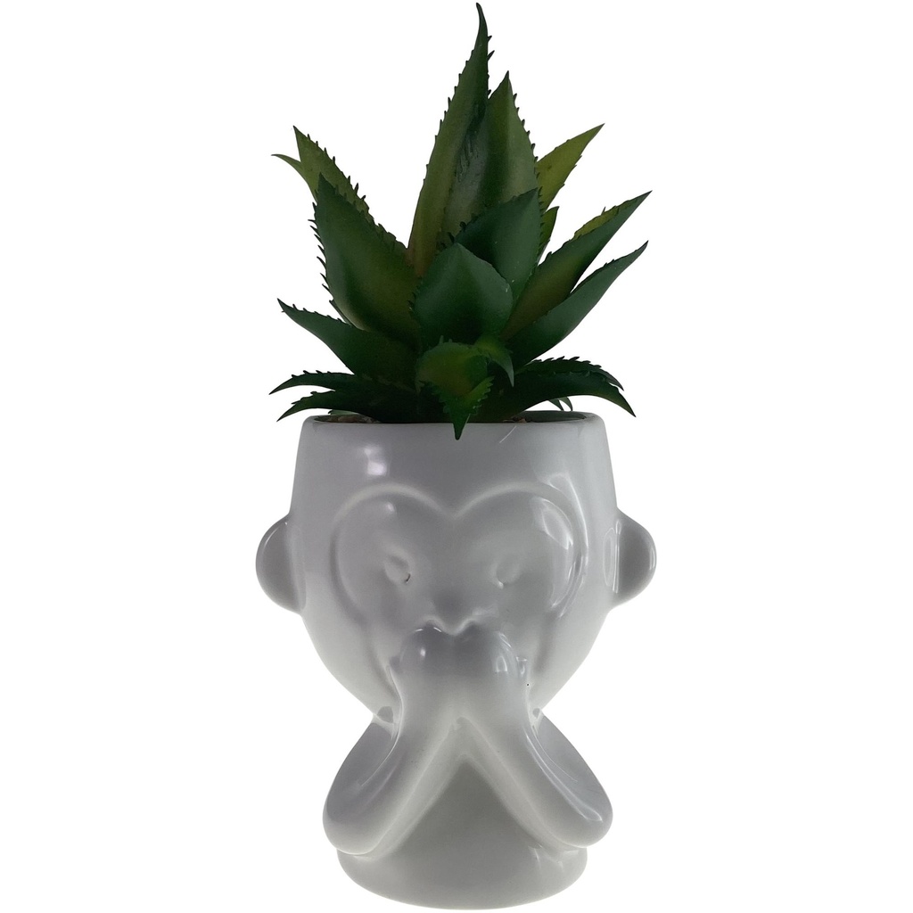 [246924] PLANTA 8.5X10X20.5CM 567-49230