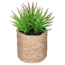 PLANTA VERDE MACETA CUERDA H16 160065