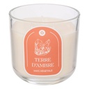 VELA PERFUMADA FLORAL ÁMBAR 610G 207010D