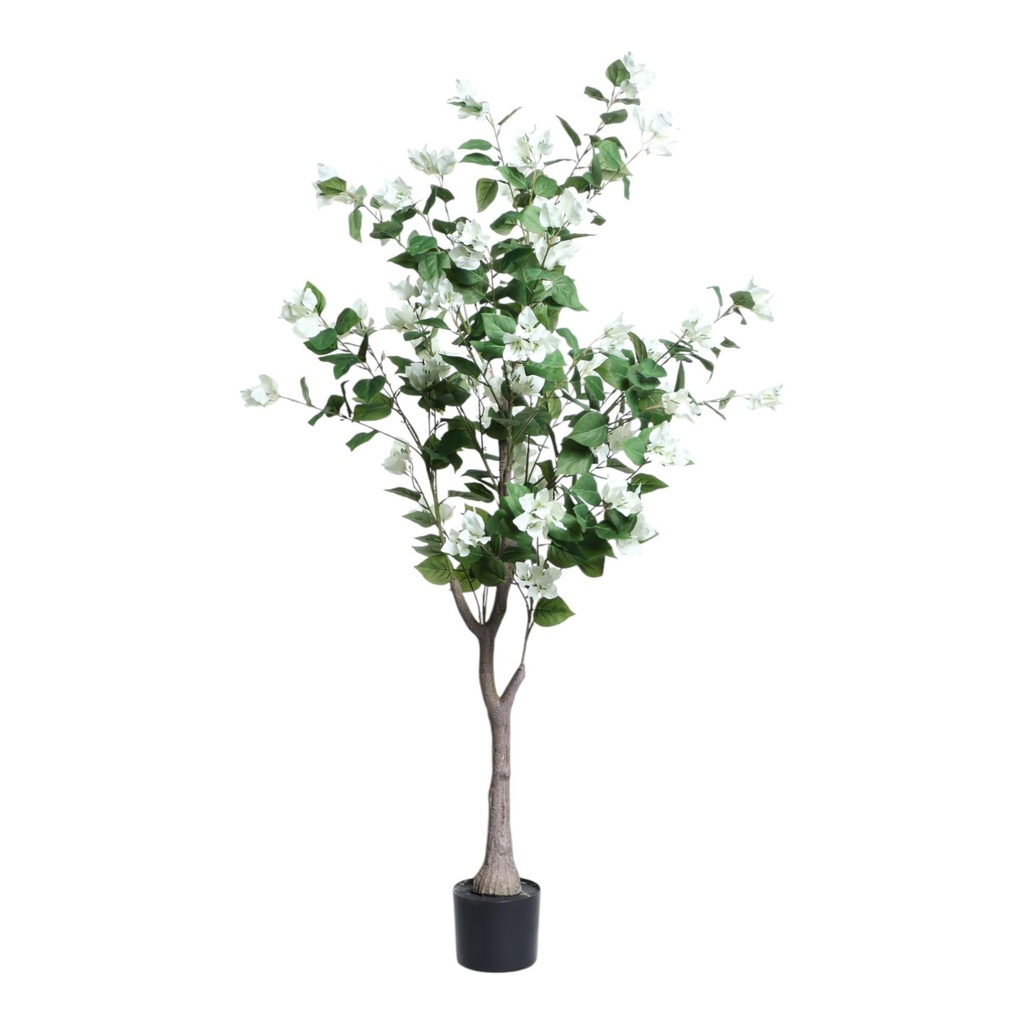 [248827] BOUGAINVILLEA C/POTE 592-460120