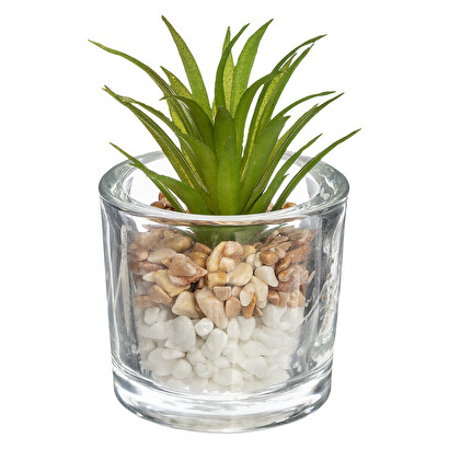 PLANTA CON FLORERO DE VIDRIO 168548