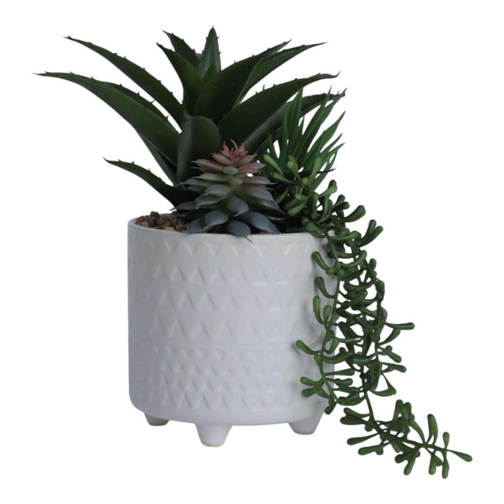 [270400] PLATO DE CERAMICA CON MACETA DECORATIVA 456-472369