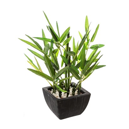 BAMBU EN MACETA H26 167218