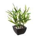 BAMBU EN MACETA H26 167218