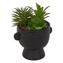 CERAMICA SUCULENTA H22 CAJA 206558