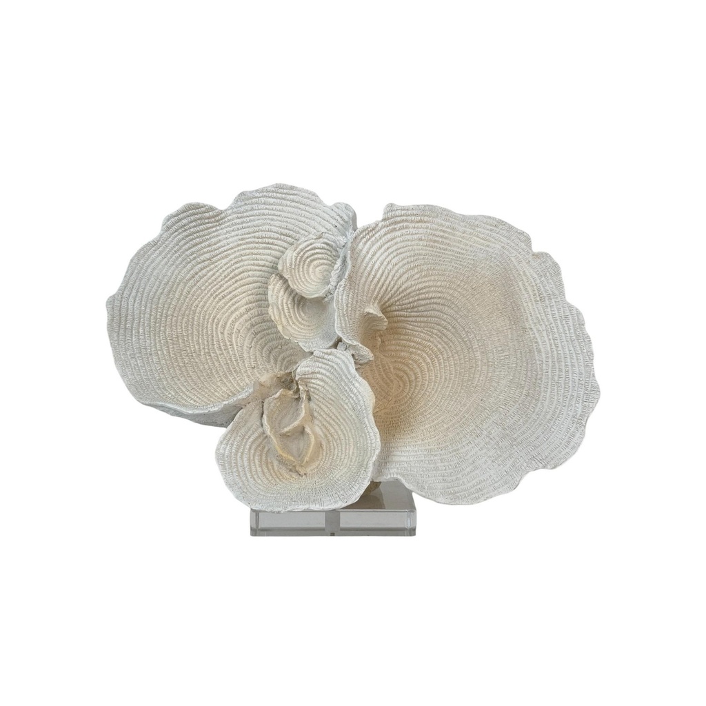 [258996] CORAL DECOR 439-7810244