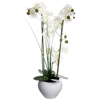 [252247] ORQUÍDEA CON MACETA BLANCA 136510B