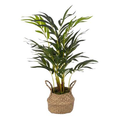 MACETA PALMERA NATURAL H80 189129