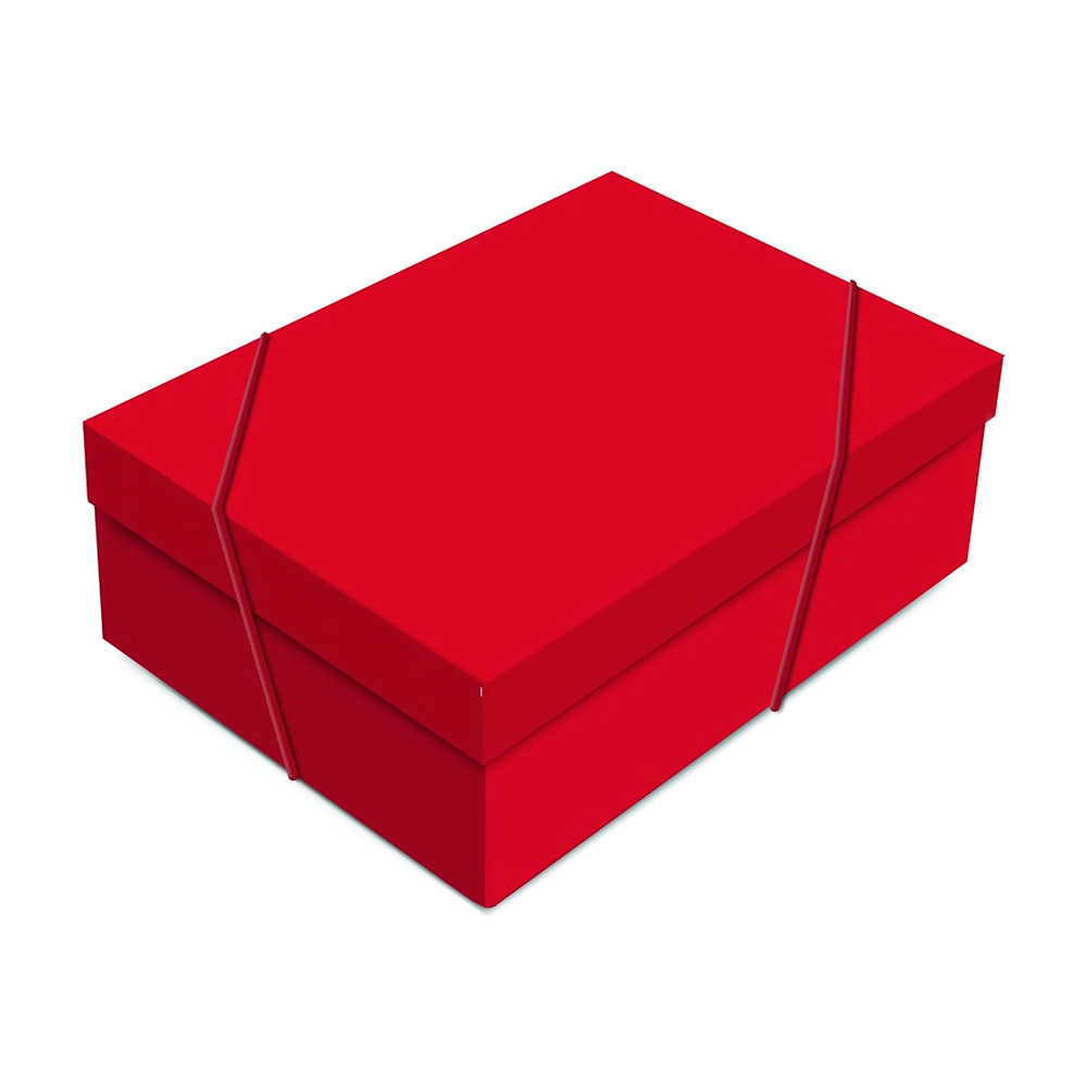 CAJA RECT CHARMING RED M 35X25X14 1UN 13006048