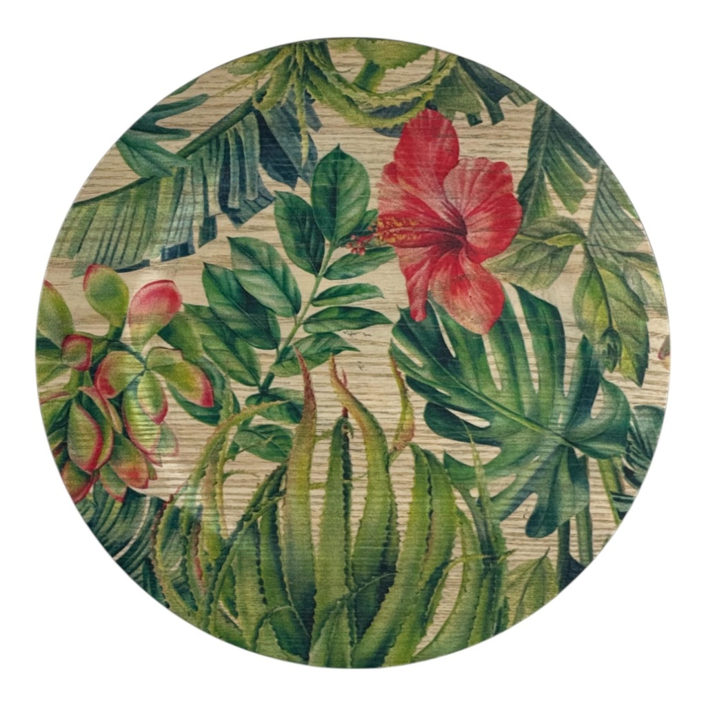 PORTAPLATOS 33X33X2CM 420-4710034