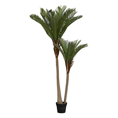2 TRONCOS PALMERA IZALE H180 198107