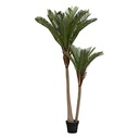2 TRONCOS PALMERA IZALE H180 198107