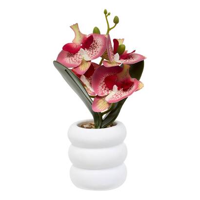 OLLA CEM ORCHID MICK H25BOX 214115