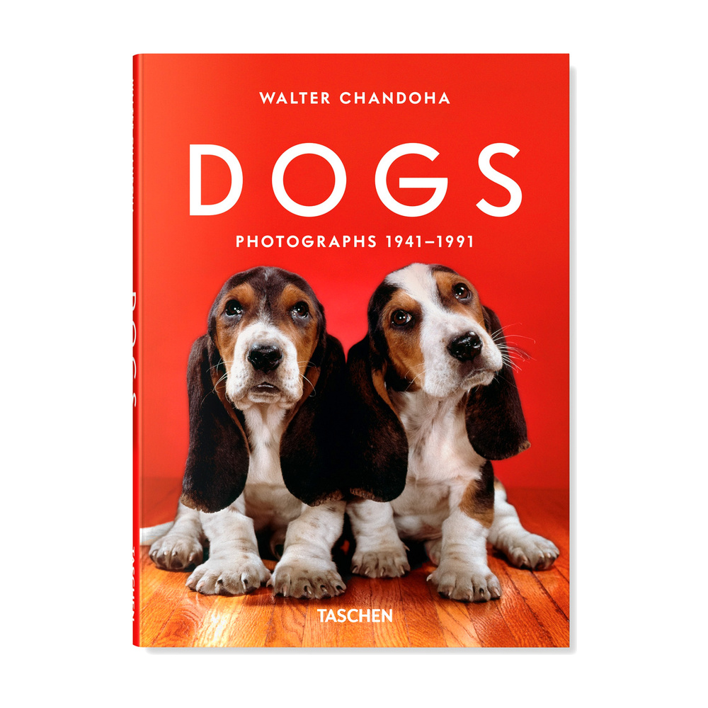 [257138] Walter Chandoha. Dogs. Photographs 1941 - 1991
