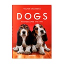 Walter Chandoha. Dogs. Photographs 1941 - 1991