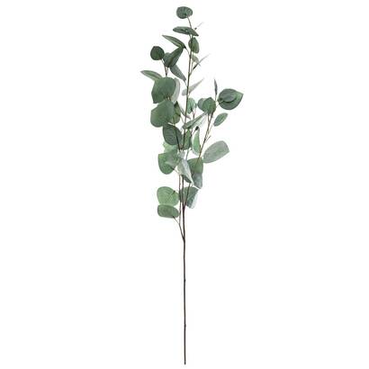TALLO DE EUCALIPTO AZUL H97 164263