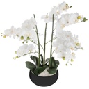 ORQUÍDEA CERÁMICA NEGRA H65 155640A