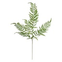 FRONDA VERDE JAMES H90 204265